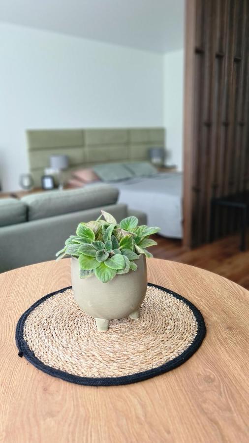Mona Apartamentai Telšiai 외부 사진